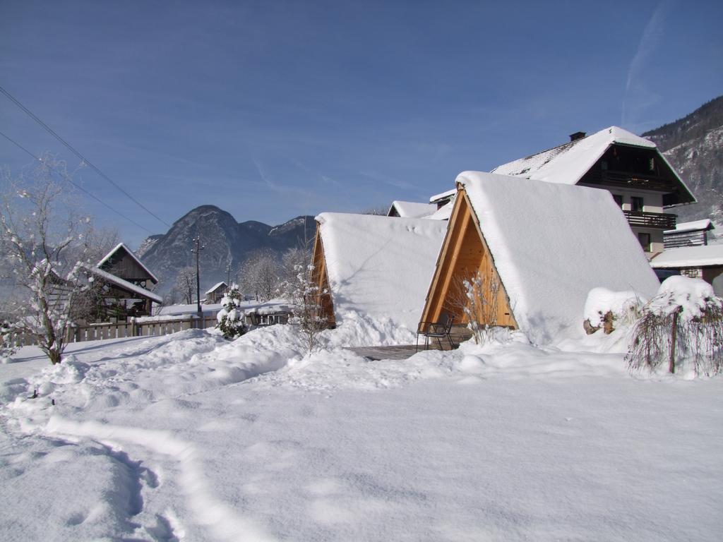 Garden Eco Houses Cebelica 博希尼 外观 照片